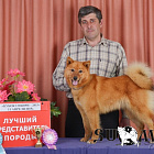 Обь Шило № RKF3955734, 20.05.14., вл. Василец В.В., Алтайский край
